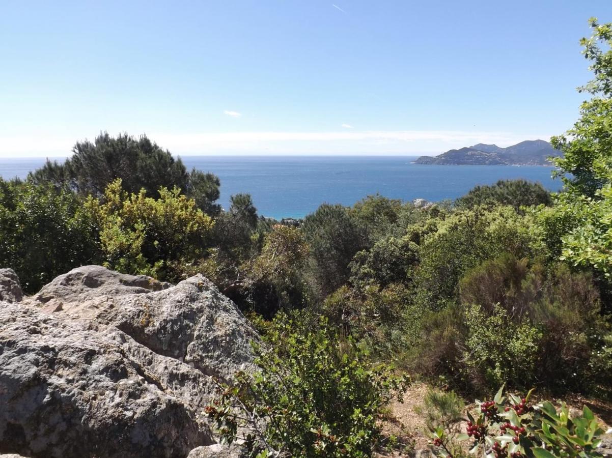 Appartement Luxueux 150M2 - Cannes Dış mekan fotoğraf